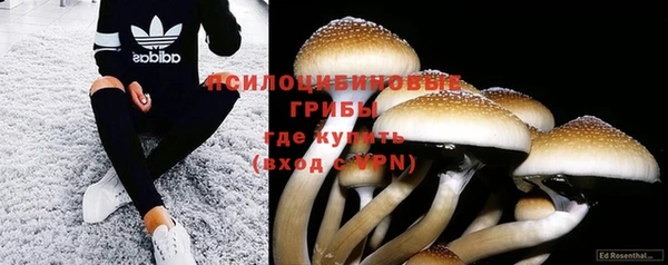 бошки Бронницы